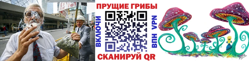 Купить закладки  Электроугли  Псилоцибиновые грибы мицелий 